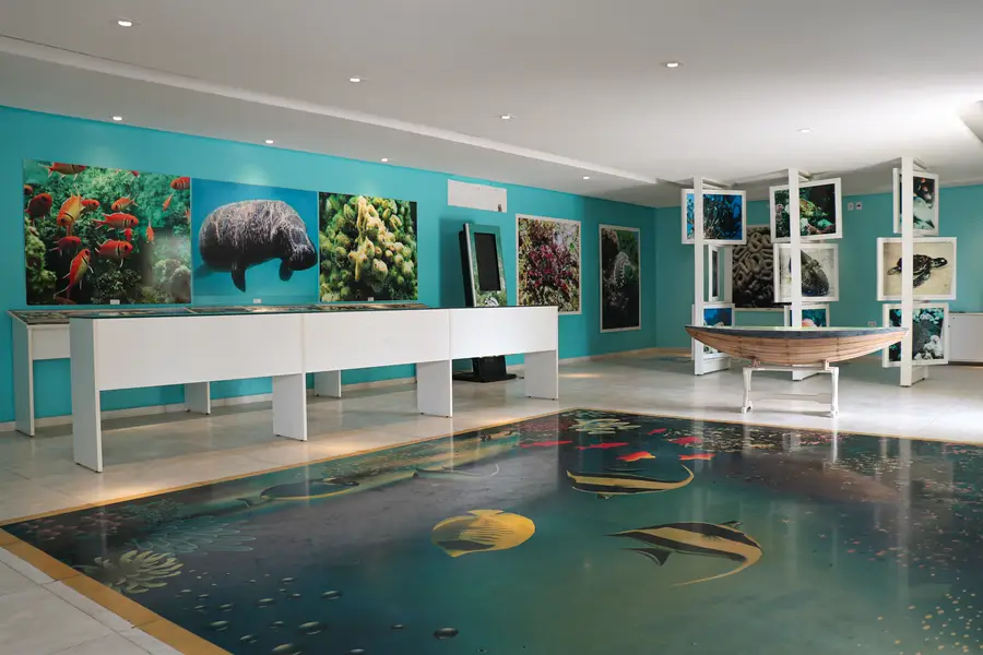 Espaço com painéis da vida marinha